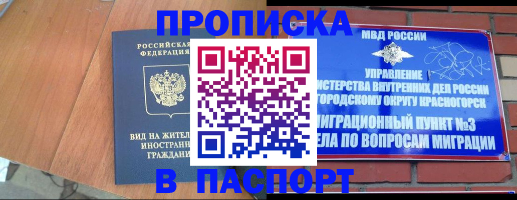 найти адрес прописки в Брянске